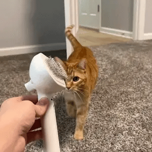 Magic Steam Grooming Brush (Pro Version)