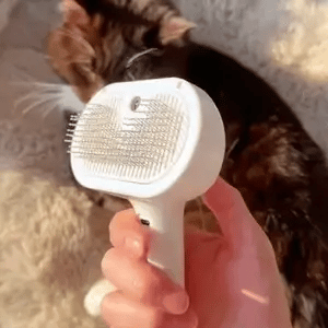 Magic Steam Grooming Brush (Pro Version)
