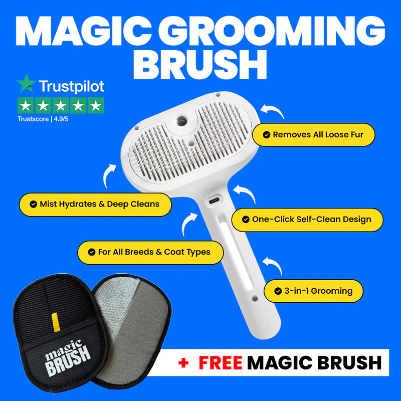 Magic Steam Grooming Brush (Pro Version)