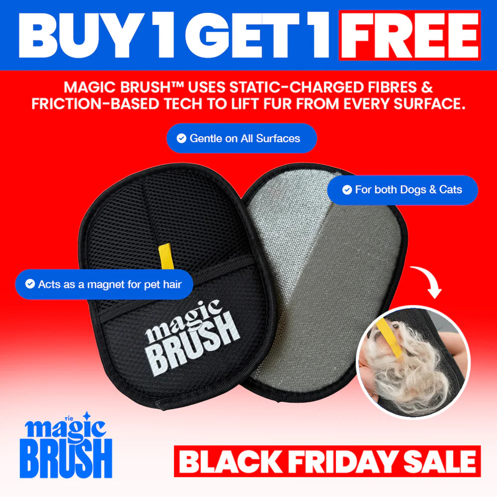The Magic Brush™ - Buy 1 Get 1 Free